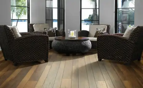 laminate flooring with modern furniture